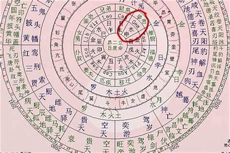 怎么看自己什么命|生辰八字算命